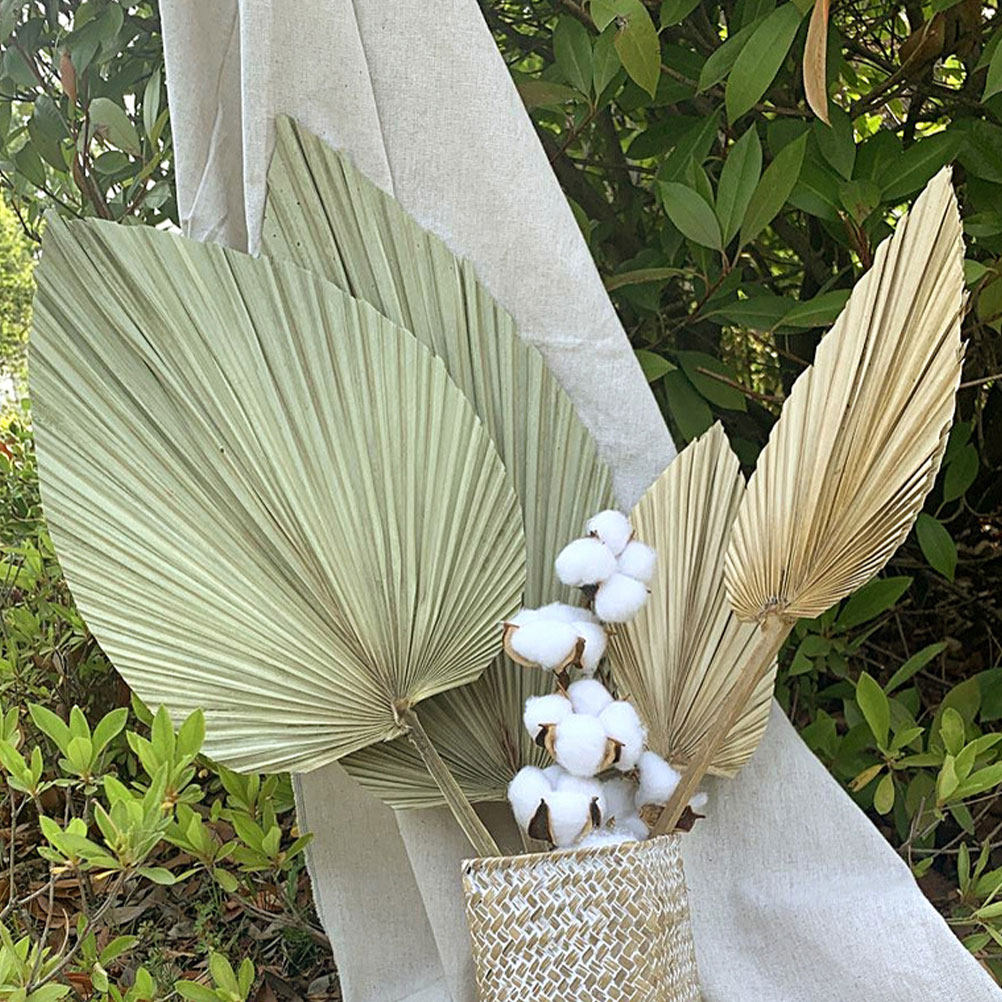 Palm Leaf Dried - 1개 천연 건조 야자수 잎 장식