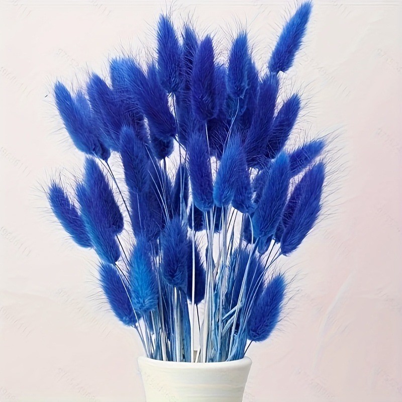 Dried Flower Bunch - 모조 토끼꼬리풀 드라이플라워 꽃다발 홈 플로럴