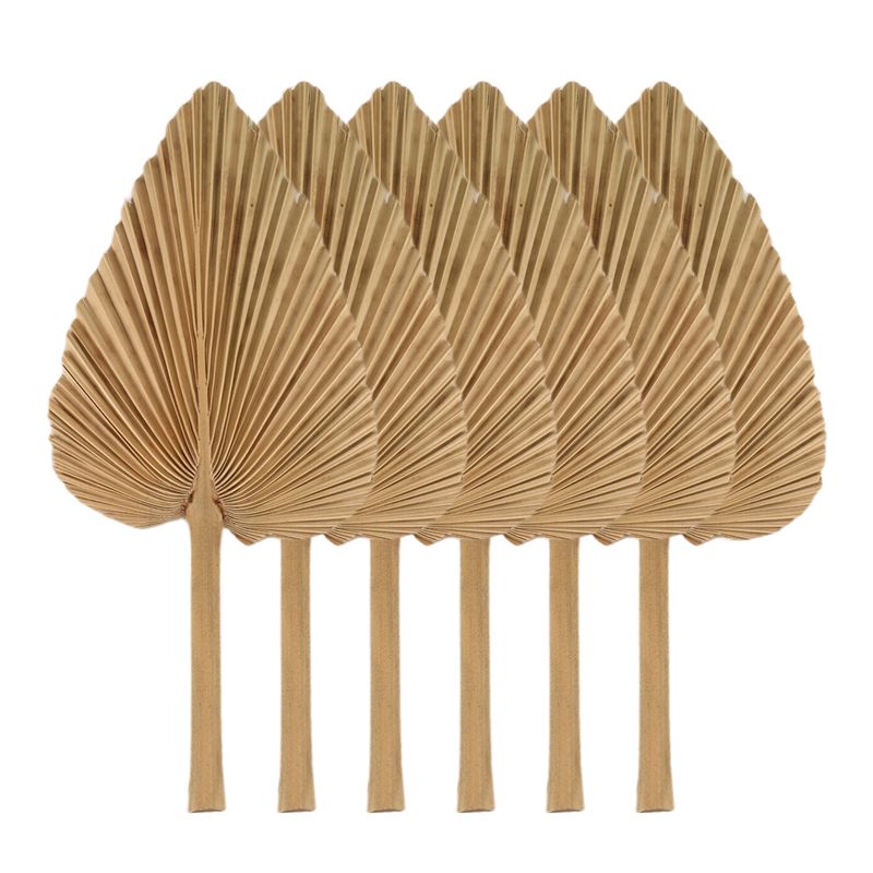 Palm Leaf Dried - AT84-6PCS 건조 야자잎 천연 건조 야자잎