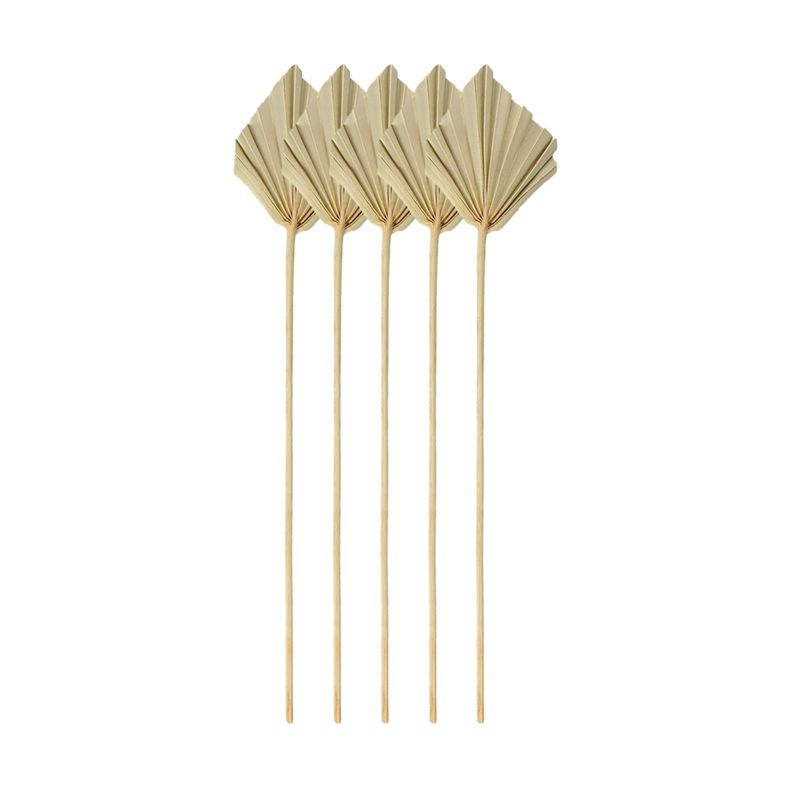 Palm Leaf Dried - A67P-보헤미안 스타일 건조 야자수 화살 모양