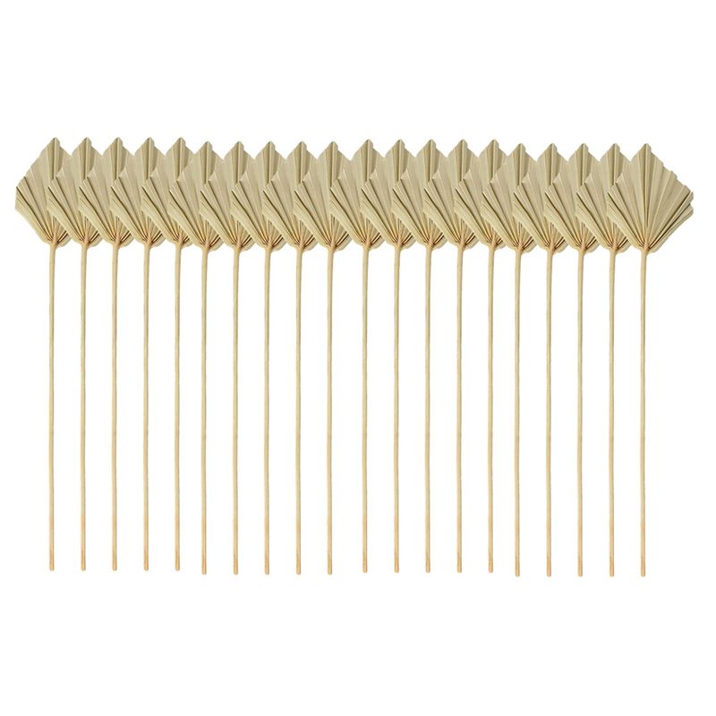 Palm Leaf Dried - ABYN-보헤미안 스타일 건조 야자수 화살촉 작은