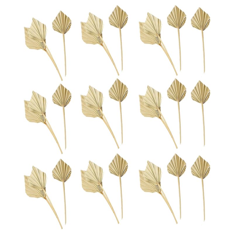 Palm Leaf Dried - AS60-30개 보헤미안 스타일 건조 야자수 화살,