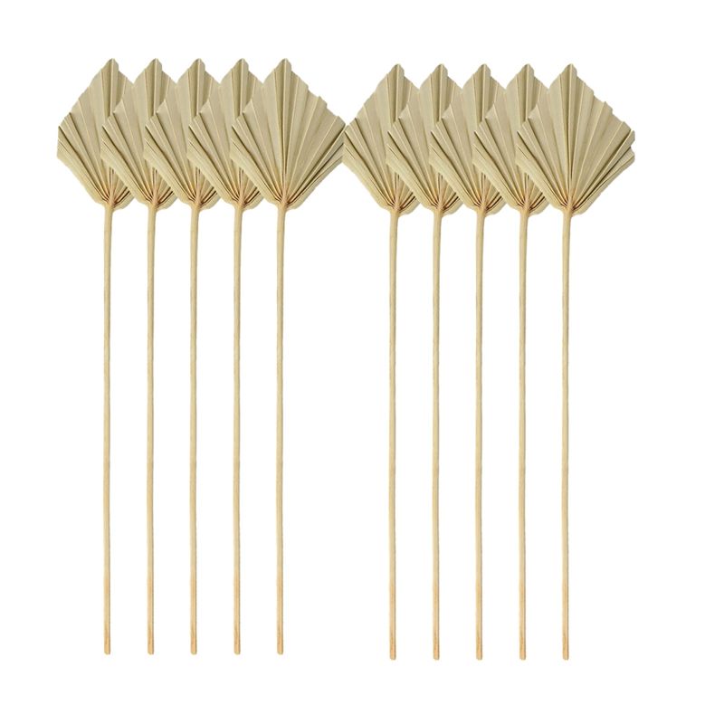 Palm Leaf Dried - TFORU-보헤미안 스타일 건조 야자나무 화살촉 작은