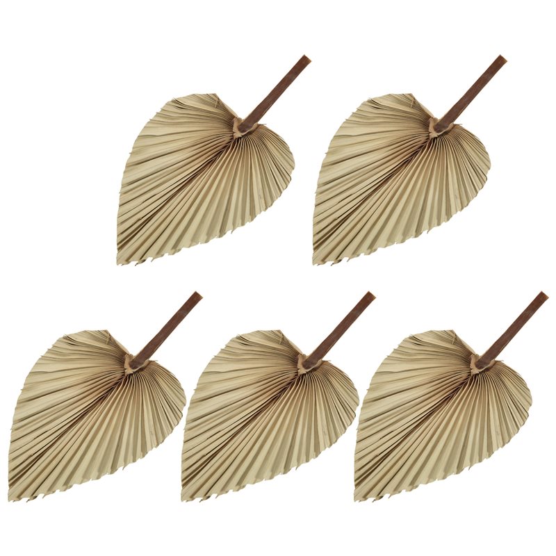Palm Leaf Dried - SEWS-5Pcs 천연 건조 야자나무 잎 열대