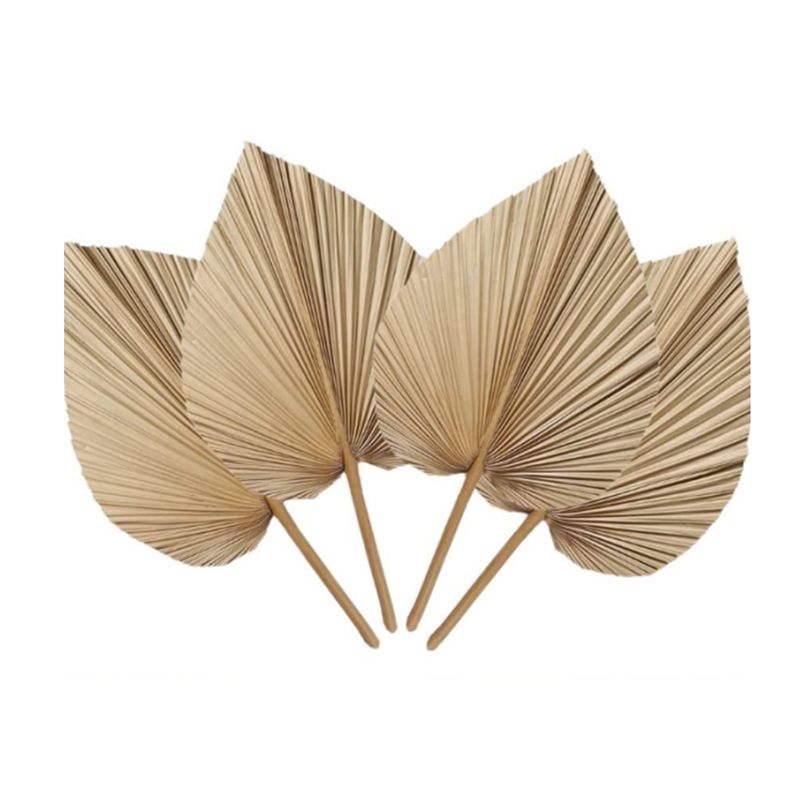 Palm Leaf Dried - A27F-6개입 천연 열대 건조 야자잎 장식,
