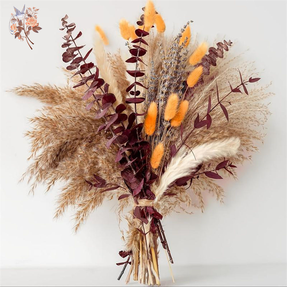 75PCS 말린 팜파스 유칼립투스 잎 꽃 꽃다발 오렌지 - Dried Flower Bunch 리뷰 및 가격