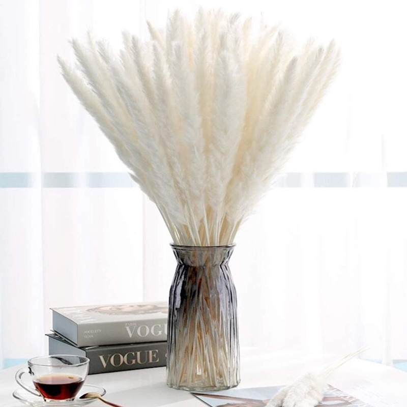 30pcs Dekoration 천연 리드 Lagurus - Dried Flower Bunch 리뷰 및 가격