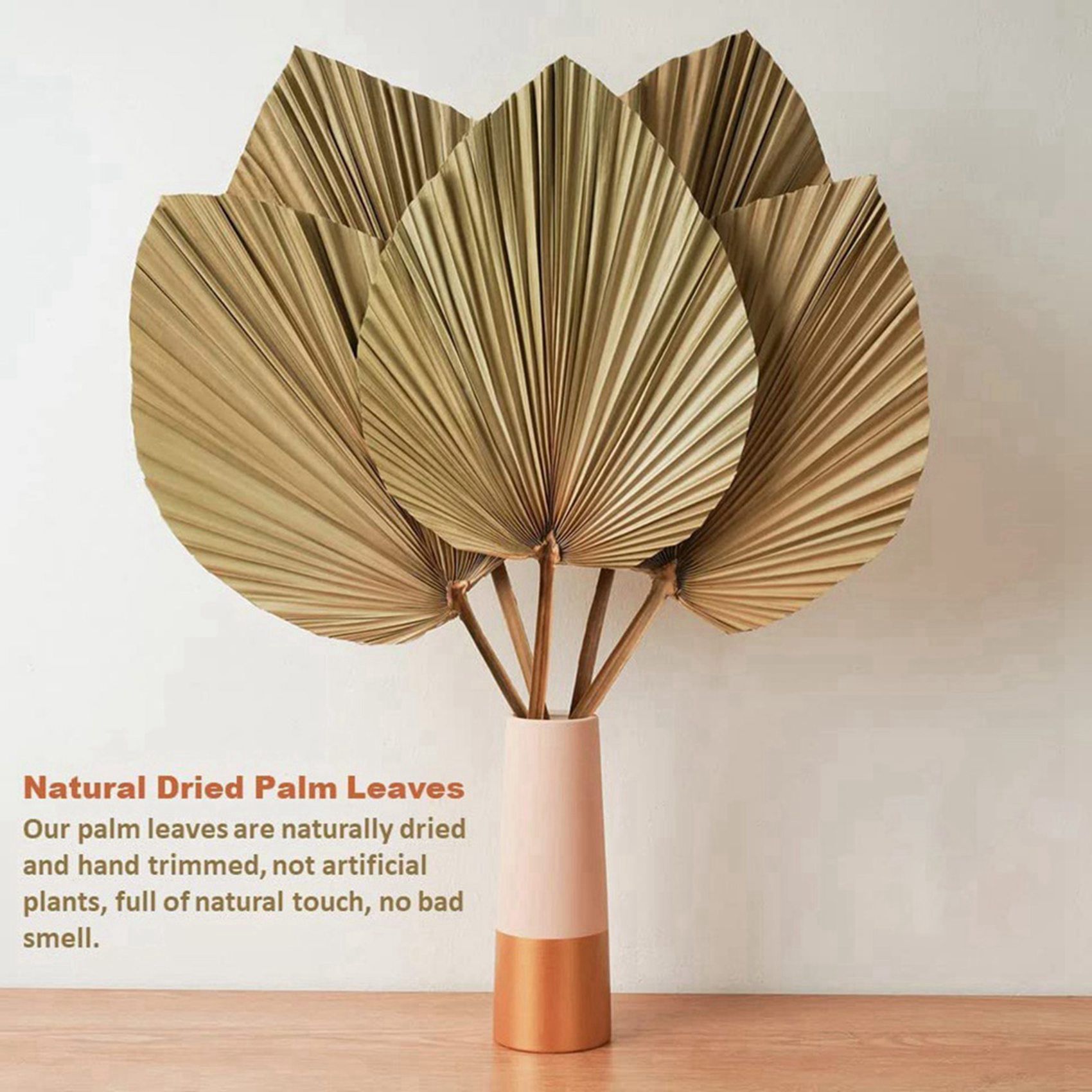 8개의 천연 건조 야자나무 잎은 야자나무 잎 장식, 보 - Palm Leaf Dried 리뷰 및 가격