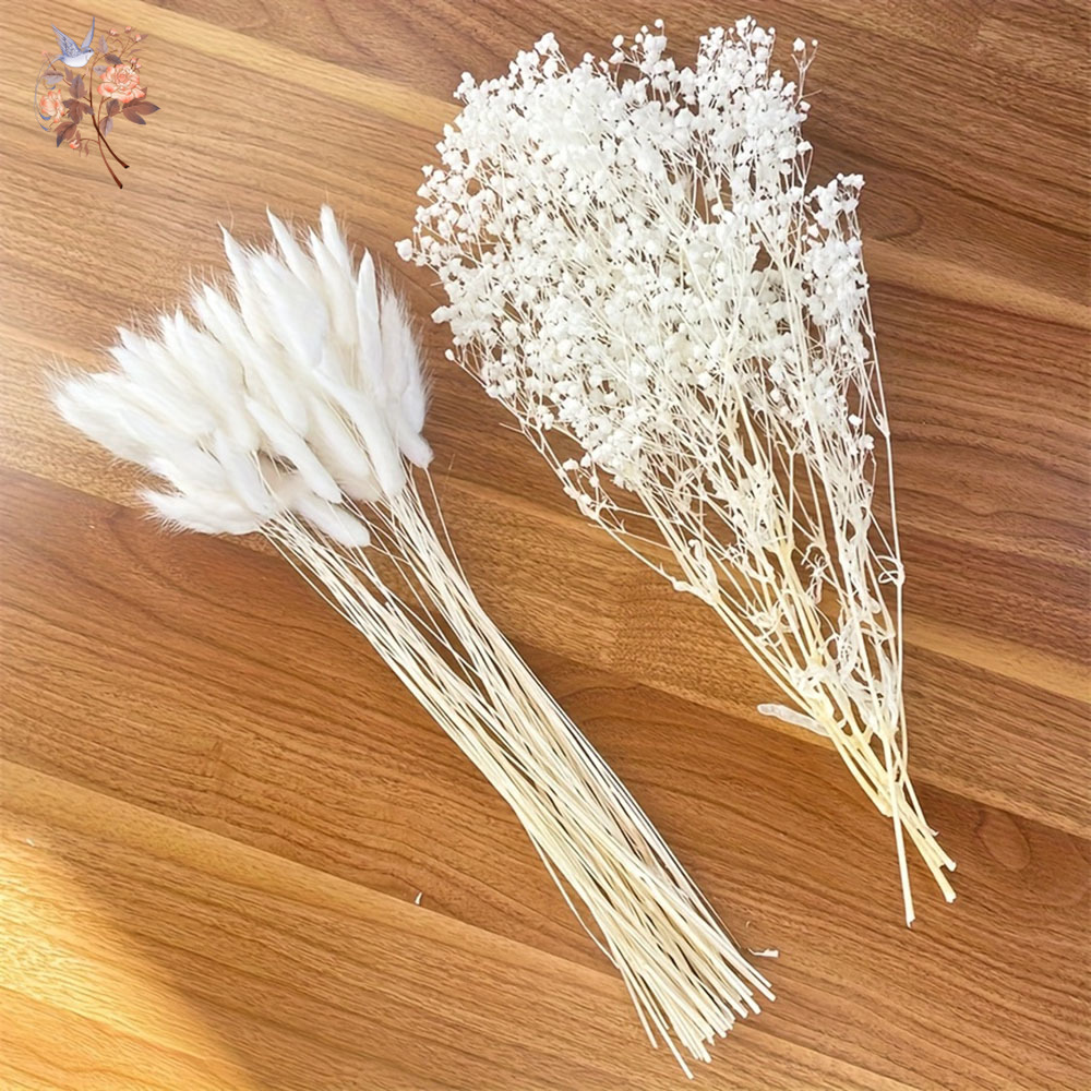 54Pcs 흰색 말린 꽃 신부 Mariage 꽃다발 자 - Dried Flower Bunch 리뷰 및 가격
