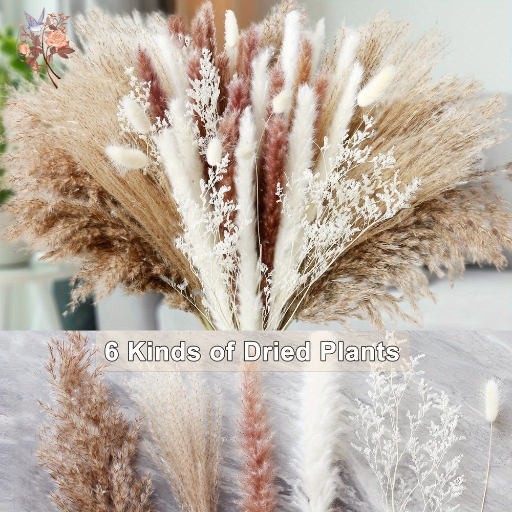 자연 건조 꽃 팜파스 그래스 부케 버니 테일 그래스 보 - Dried Flower Bunch 리뷰 및 가격