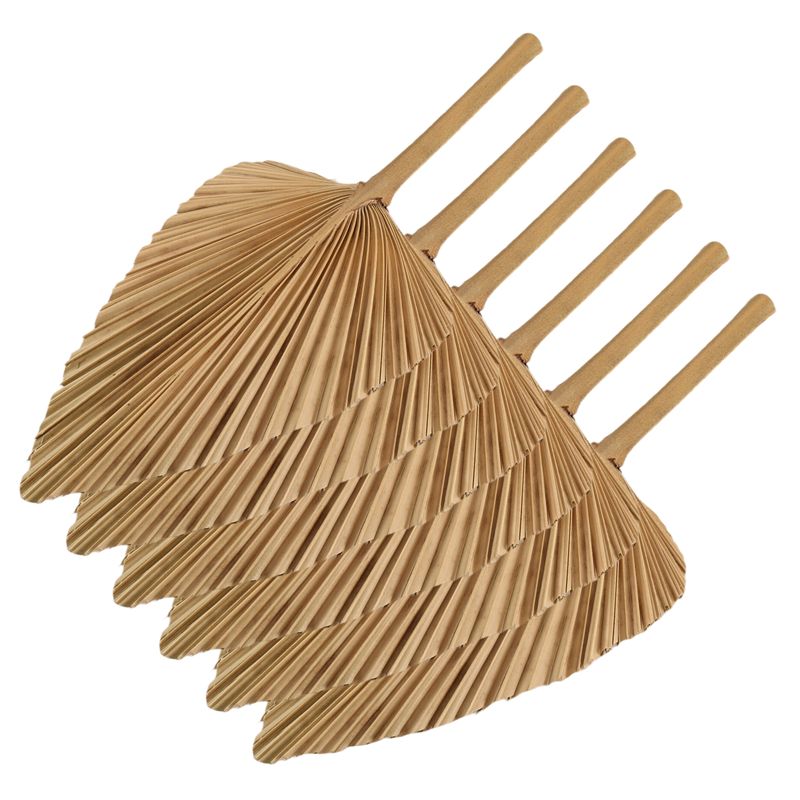 AT84-6PCS 건조 야자잎 천연 건조 야자잎 부채, - Palm Leaf Dried 리뷰 및 가격