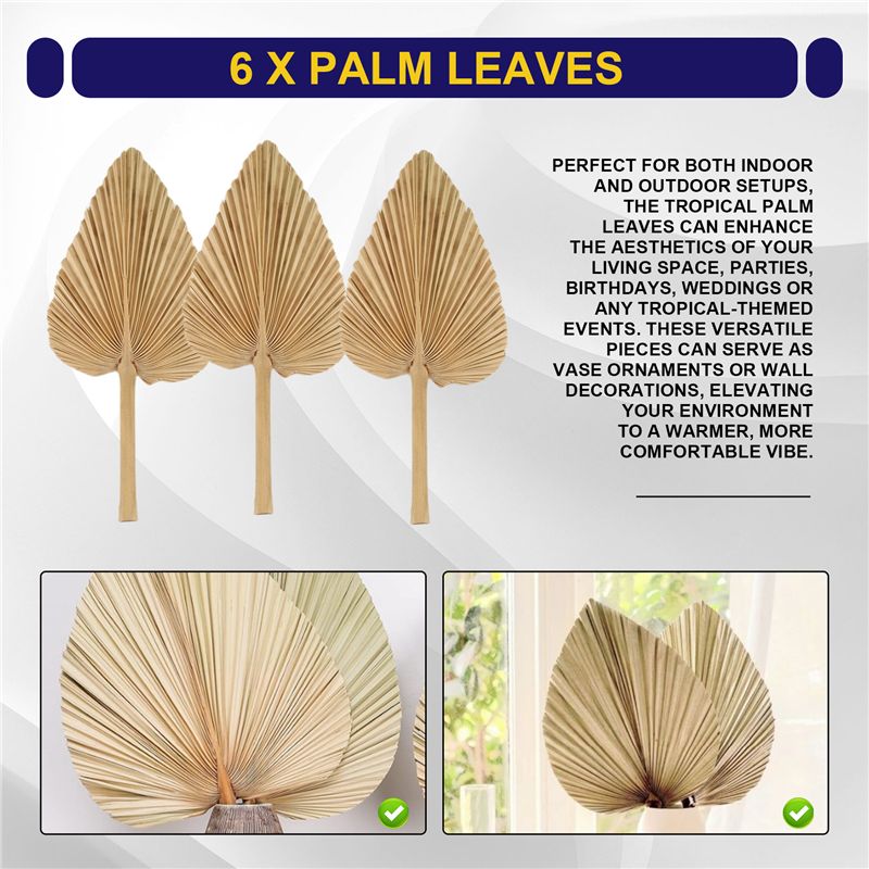 AT84-6PCS 건조 야자잎 천연 건조 야자잎 부채, - Palm Leaf Dried 리뷰 및 가격