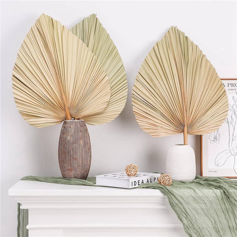 【크리스마스】24개 건조 야자나무 잎 천연 건조 야자나 - Palm Leaf Dried 리뷰 및 가격