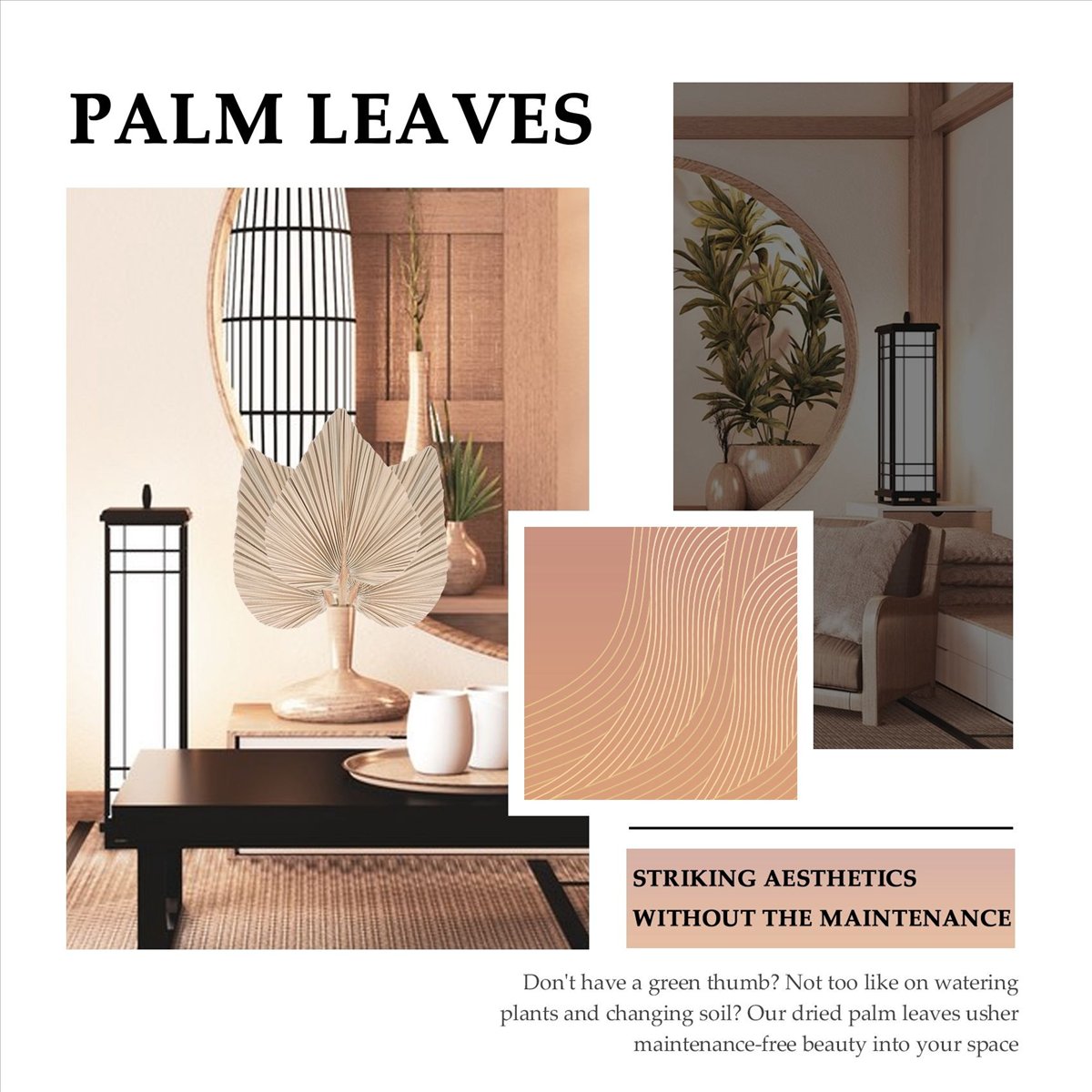 NOCM 건조 야자잎 룸 데코 5개 - 높이 18인치  - Palm Leaf Dried 리뷰 및 가격