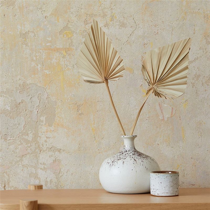 ABYN-보헤미안 스타일 건조 야자수 화살촉 작은 자연 - Palm Leaf Dried 리뷰 및 가격