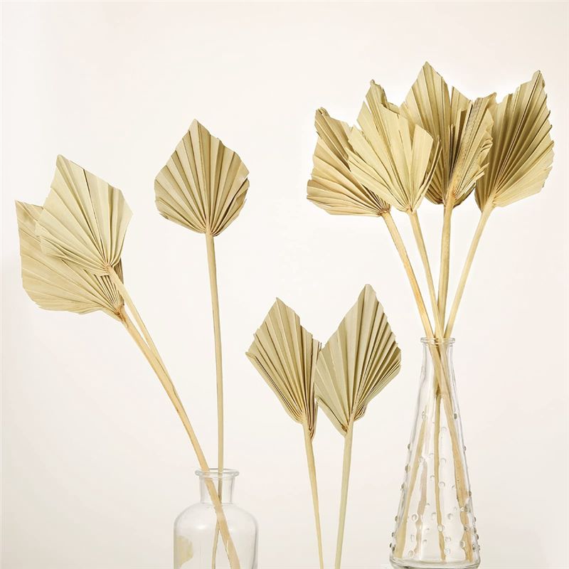 ABYN-보헤미안 스타일 건조 야자수 화살촉 작은 자연 - Palm Leaf Dried 리뷰 및 가격