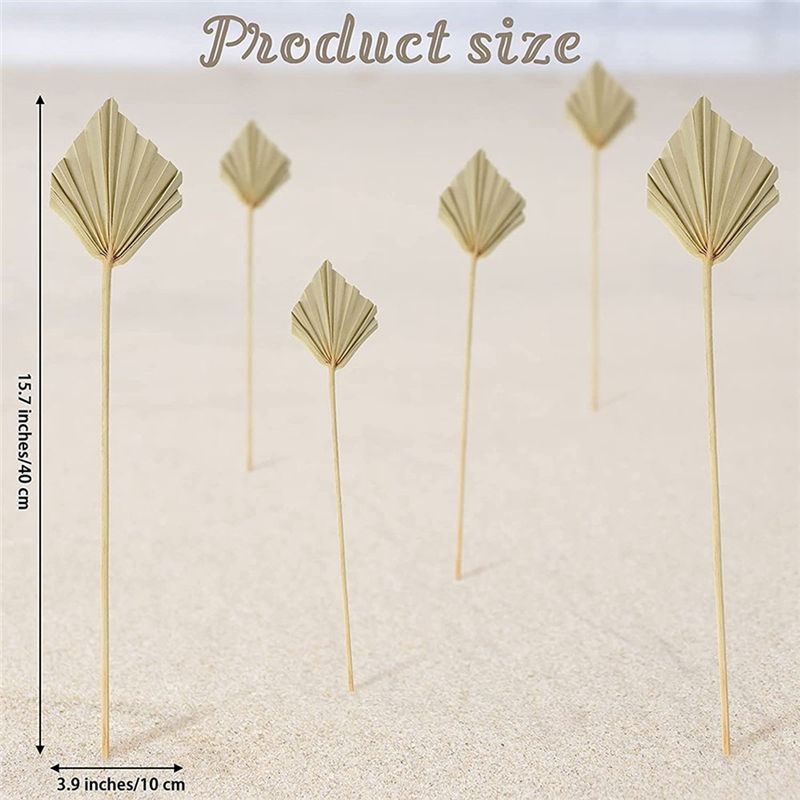 AS60-30개 보헤미안 스타일 건조 야자수 화살, 천 - Palm Leaf Dried 리뷰 및 가격