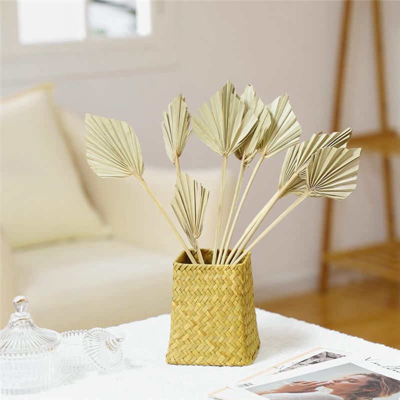 TFORU-보헤미안 스타일 건조 야자나무 화살촉 작은  - Palm Leaf Dried 리뷰 및 가격