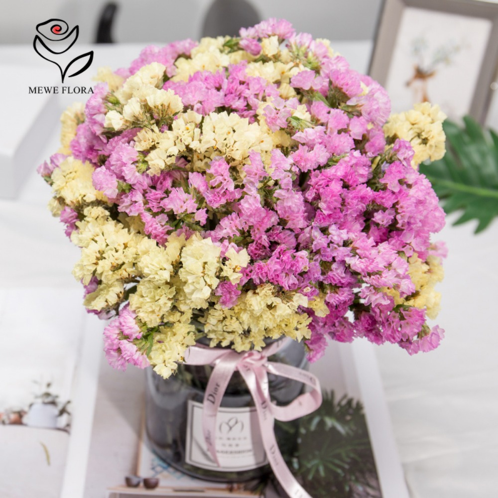 말린 나를 잊지마 꽃 향기로운 Myosotis 불멸의  - Dried Flower Bunch 리뷰 및 가격