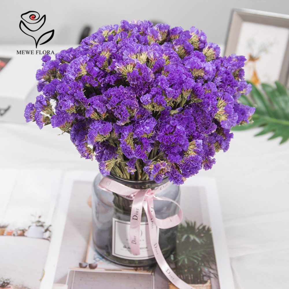 말린 나를 잊지마 꽃 향기로운 Myosotis 불멸의  - Dried Flower Bunch 리뷰 및 가격
