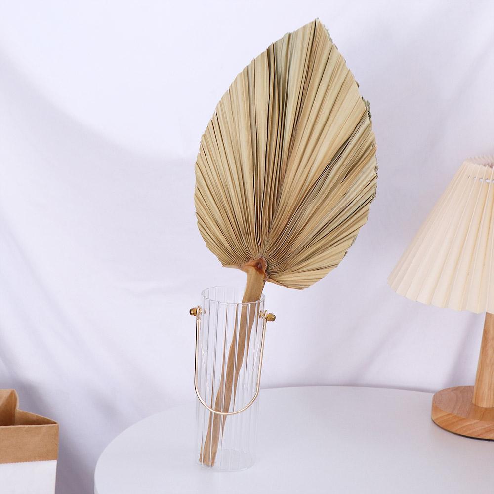 파티 오피스 보헤미안 스타일 장식 천연 야자수 손잎 팬 - Palm Leaf Dried 리뷰 및 가격
