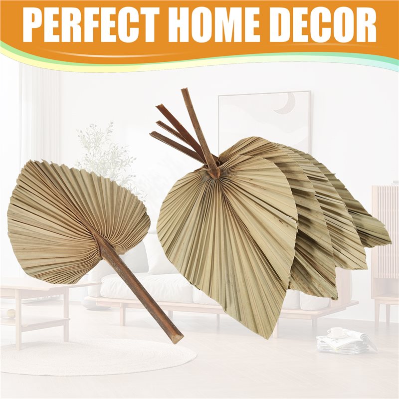 SEWS-5Pcs 천연 건조 야자나무 잎 열대 건조 야 - Palm Leaf Dried 리뷰 및 가격