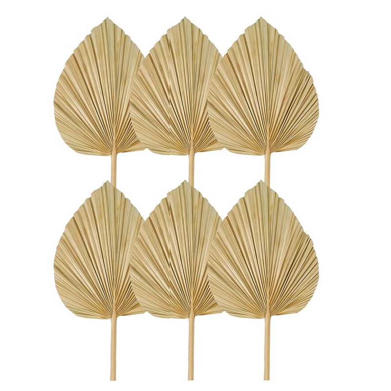 새로운 6PCS 말린 팜 잎 자연 말린 팜 팬, Boh - Palm Leaf Dried 리뷰 및 가격