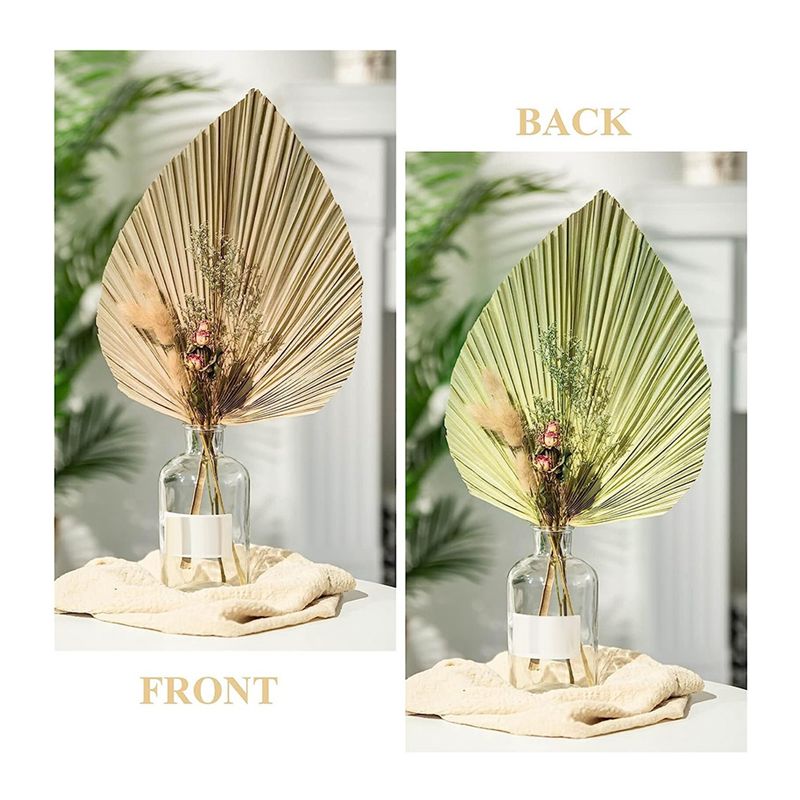A27F-6개입 천연 열대 건조 야자잎 장식, 보헤미안 - Palm Leaf Dried 리뷰 및 가격