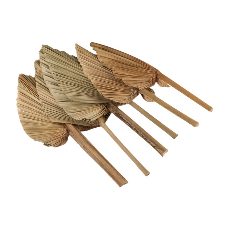 ABKO-6PCS 건조 야자잎 천연 건조 야자잎 팬,  - Palm Leaf Dried 리뷰 및 가격