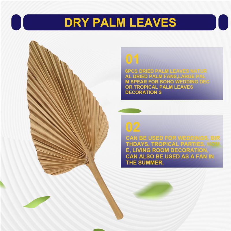 ABKO-6PCS 건조 야자잎 천연 건조 야자잎 팬,  - Palm Leaf Dried 리뷰 및 가격