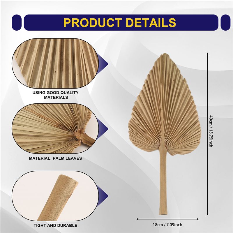 ABKO-6PCS 건조 야자잎 천연 건조 야자잎 팬,  - Palm Leaf Dried 리뷰 및 가격
