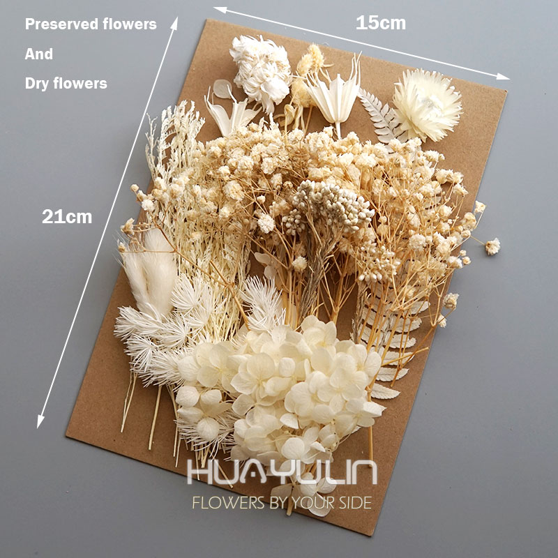 1 팩 인공 식물 말린 진짜 꽃 보존 재료 에폭시 수지 - Dried Flower Bunch 리뷰 및 가격