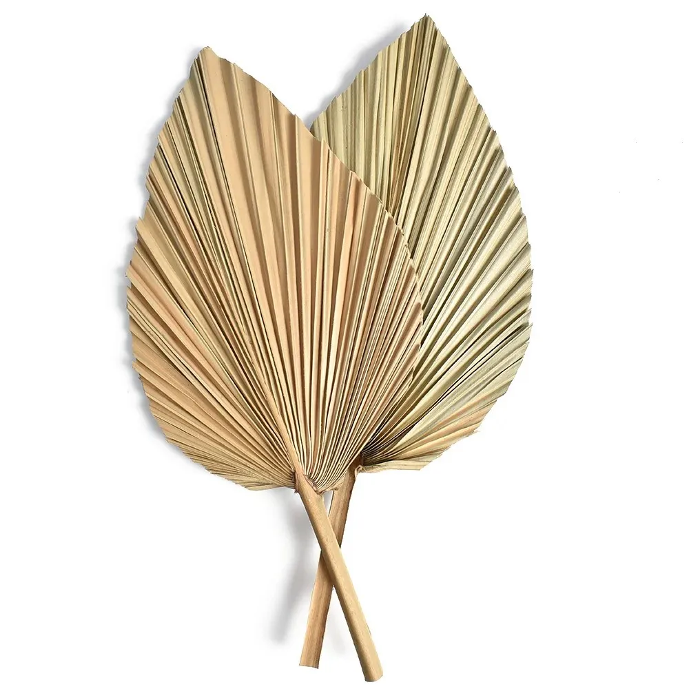 자연 건조 야자나무 잎, DIY 드라이플라워 부케, 부 - Palm Leaf Dried 리뷰 및 가격