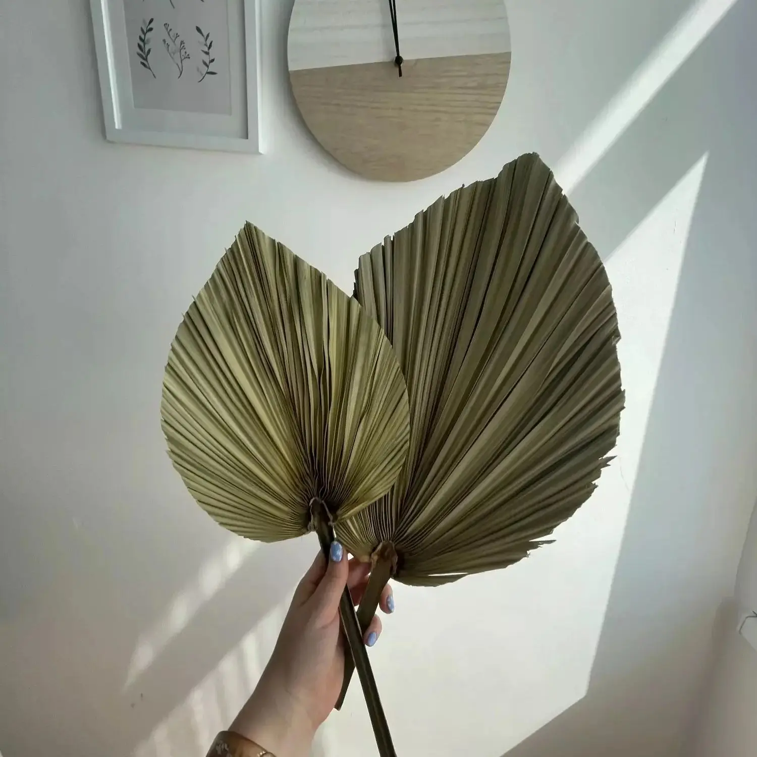 자연 건조 야자나무 잎, DIY 드라이플라워 부케, 부 - Palm Leaf Dried 리뷰 및 가격